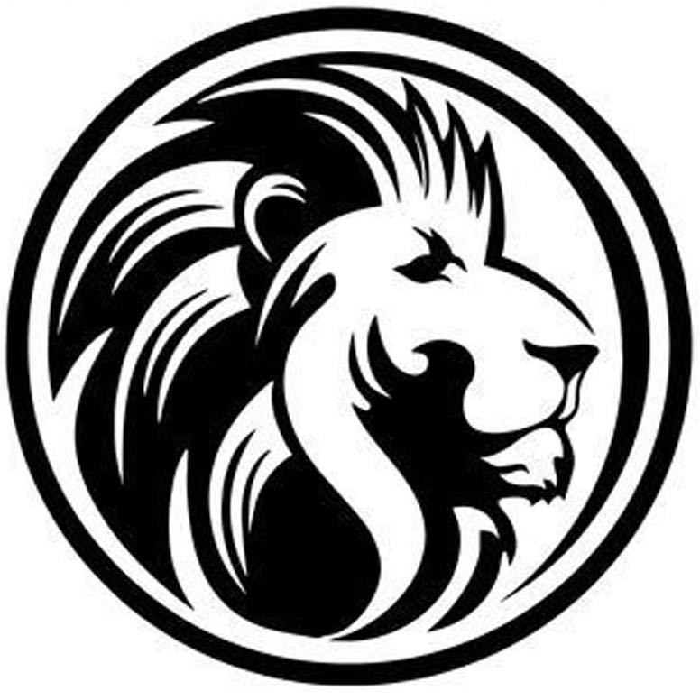 雄狮科技有限公司